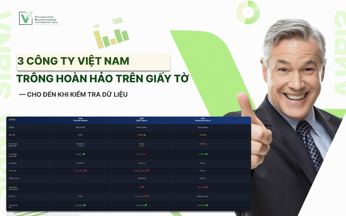 3 Công Ty Việt Nam Trông Hoàn Hảo Trên Giấy Tờ — Cho Đến Khi Chúng Tôi Kiểm Tra Dữ Liệu