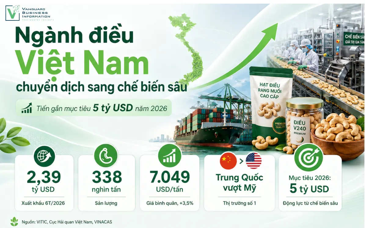 Ngành điều Việt Nam chuyển dịch sang chế biến sâu, tiến gần mục tiêu 5 tỷ USD năm 2026